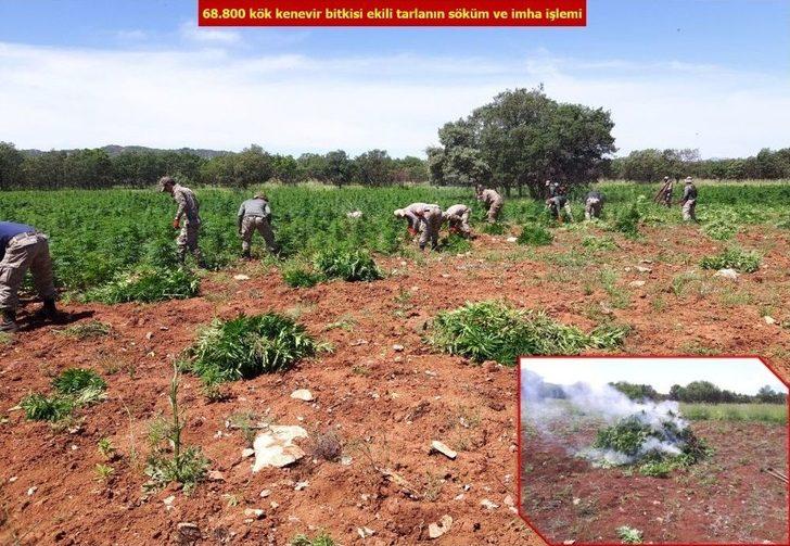 Diyarbakır Kırsalında Düzenlenen Operasyonda 1 Ton Esrar Ele Geçirildi G4