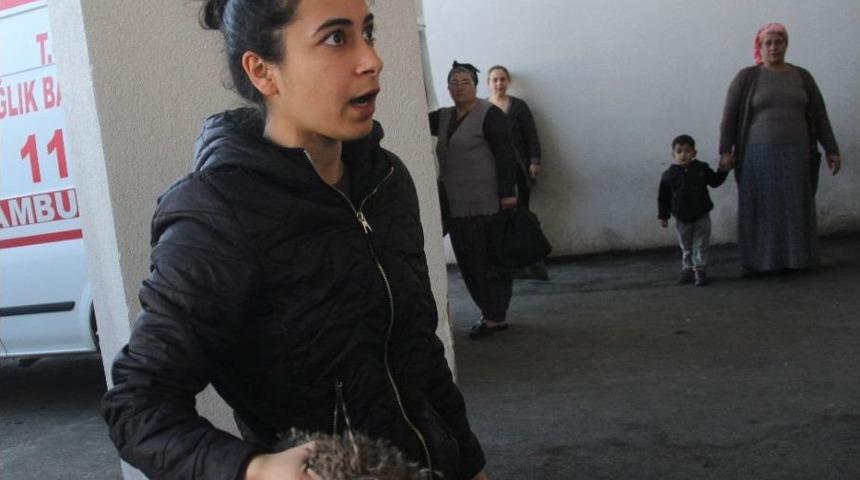 Baba, Hamile Eşini Darp Etti, Kızı Gazetecilere Saldırdı