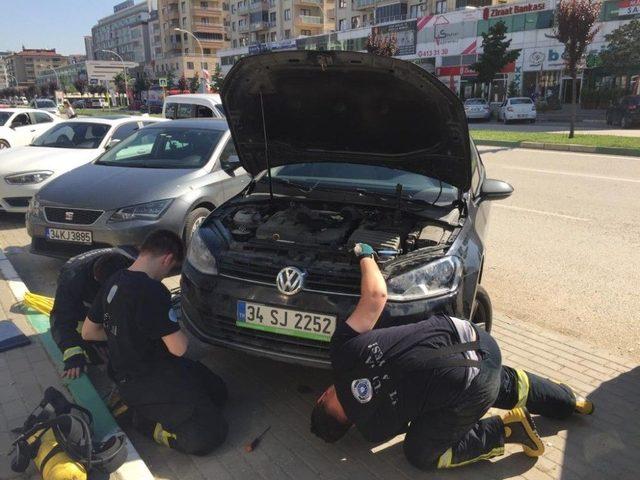 Otomobilin Motoruna Sıkışan Kedi İtfaiye Ekipleri Tarafından Kurtarıldı