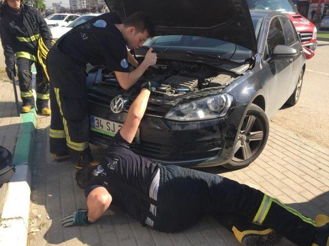 Otomobilin Motoruna Sıkışan Kedi İtfaiye Ekipleri Tarafından Kurtarıldı