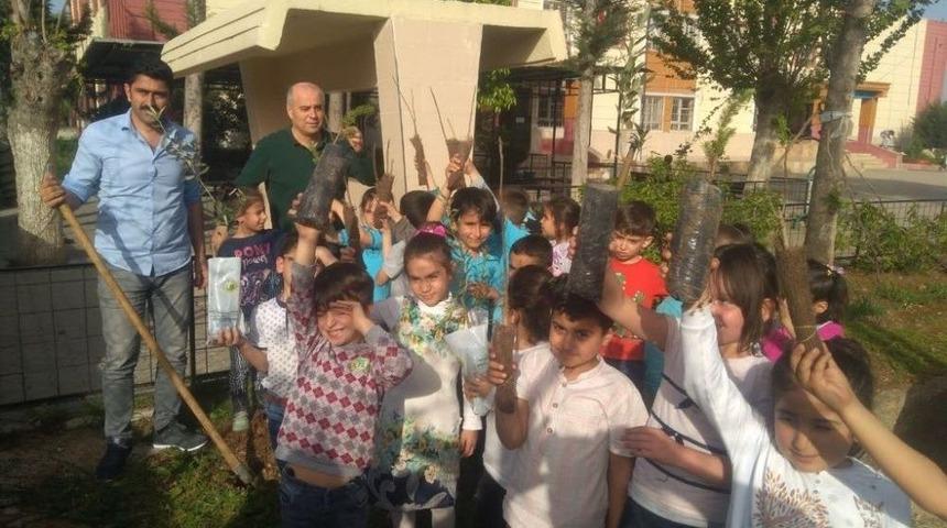 &Ouml;ğrenciler Fidan Dikti