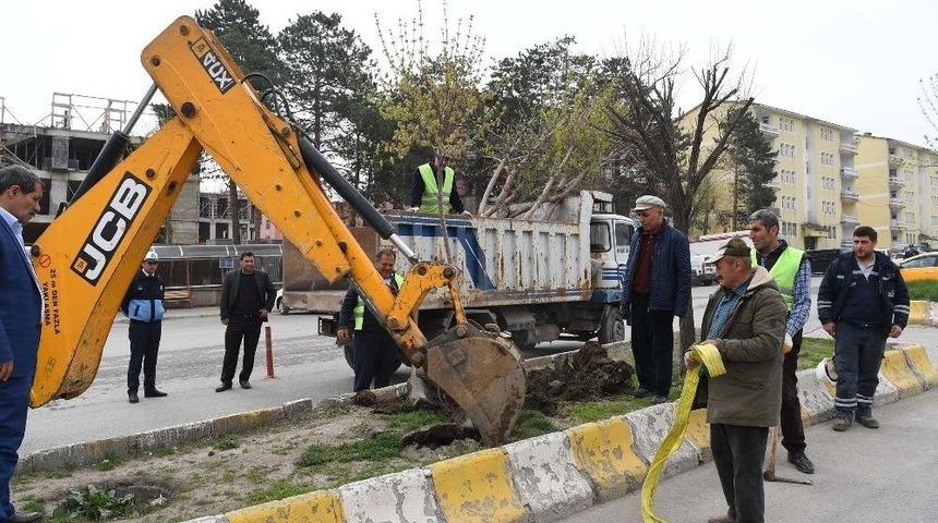 Muş Belediyesinden &Ccedil;evre Dostu Belediyecilik &Ouml;rneği