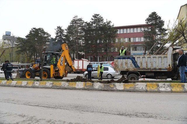 Muş Belediyesinden Çevre Dostu Belediyecilik Örneği