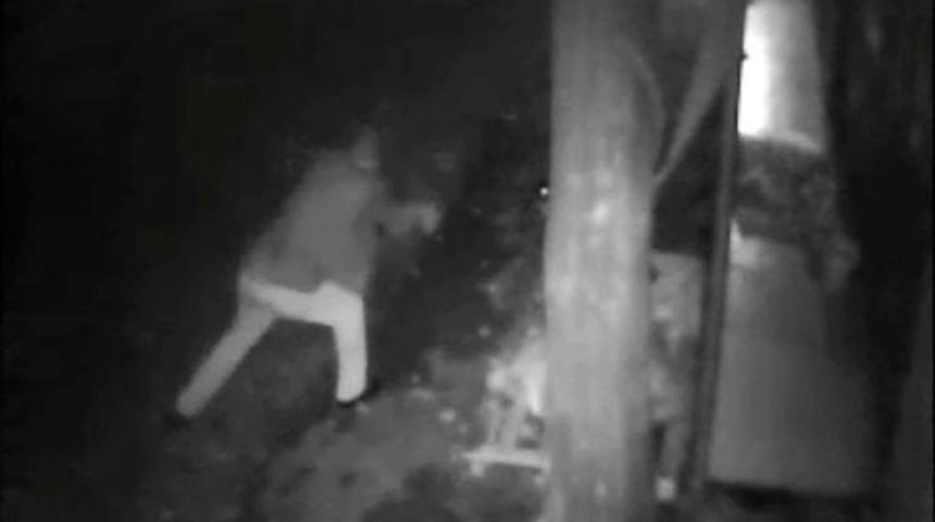 Demir Sopa İle K&ouml;peği D&ouml;vd&uuml;