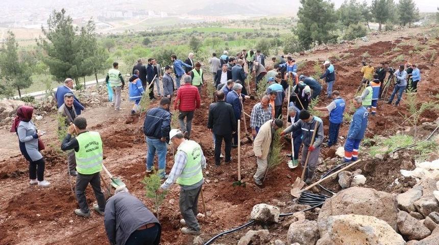 Kilis&rsquo;te 2 Bin Fidan Daha Toprakla Buluştu