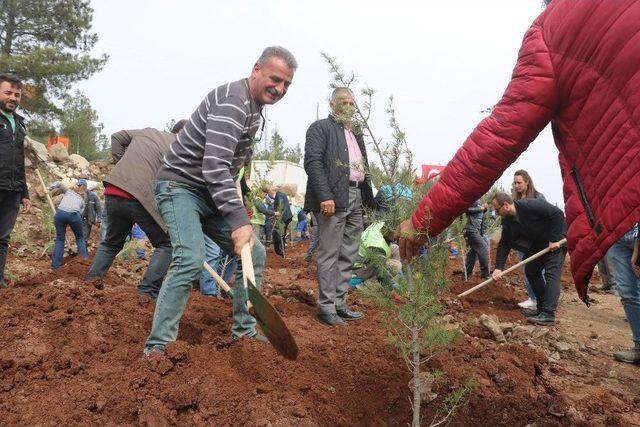 Kilis’te 2 Bin Fidan Daha Toprakla Buluştu