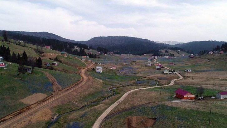 Kadıralak Yaylası Mor Örtü İle Kaplandı G3