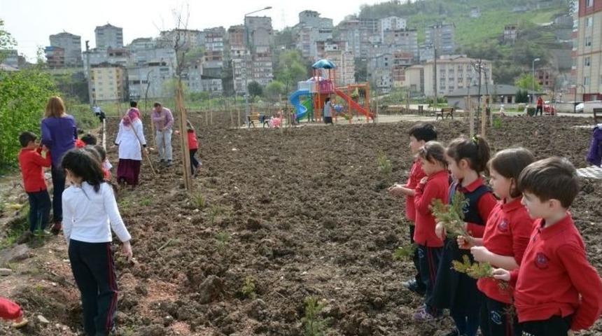 Fatsa&rsquo;da Minik Eller Fidan Dikti