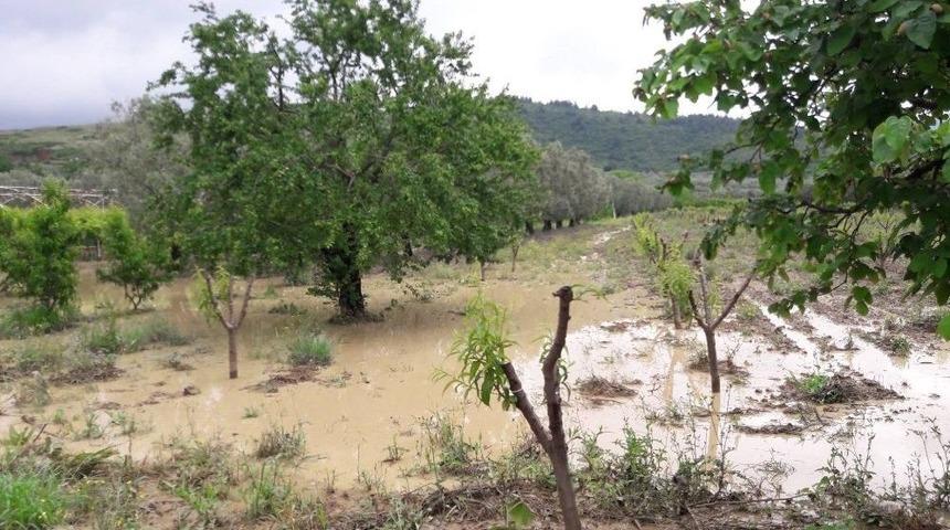 Bursa&rsquo;da &Ccedil;ift&ccedil;iyi Sağanak Yağıştan Sonra Dolu Da Vurdu