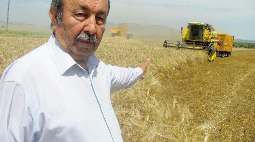 Araban&rsquo;da Arpa Hasadı Buruk Başladı