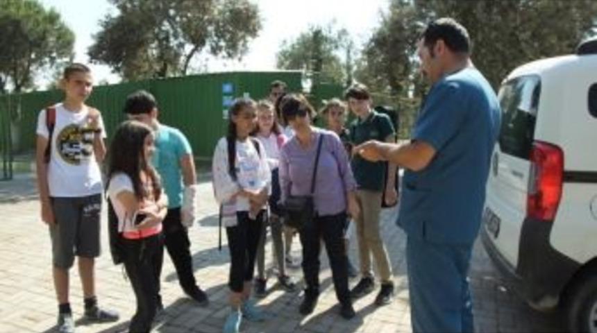 Öğrenciler Arasında Hayvan Sevgisi Artıyor