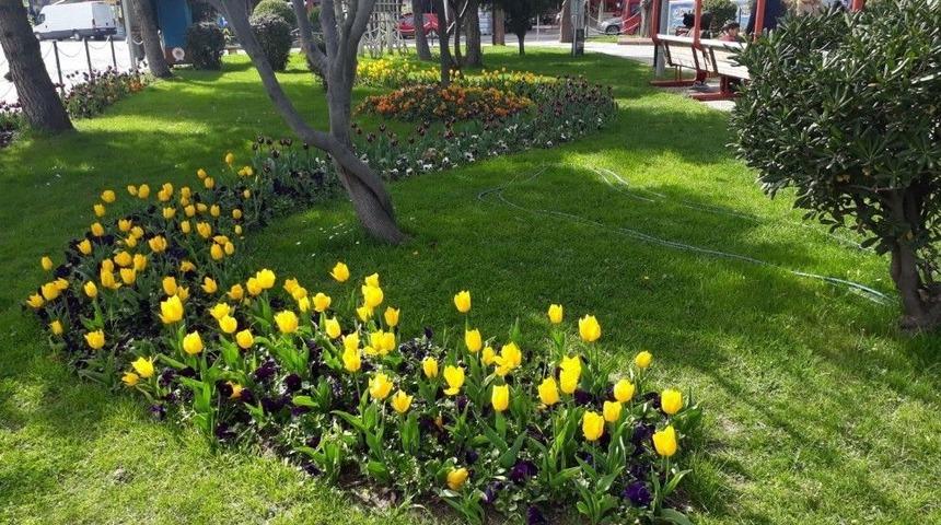 İlkadım’da Bahar