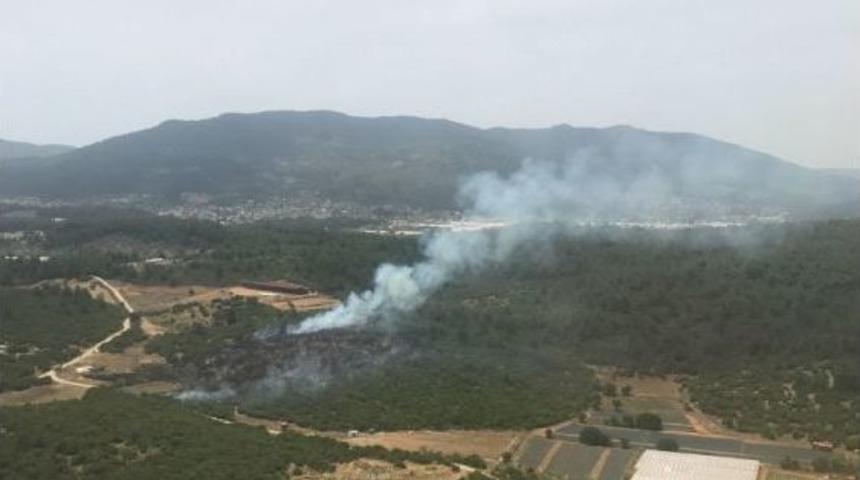 İzmir Menderes&rsquo;te Orman Yangını