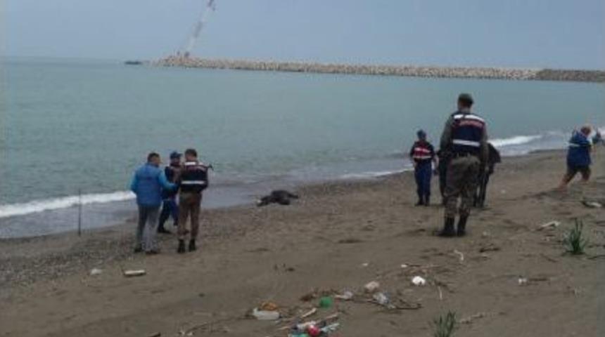 Kayıp Yaşlı Adamın Cesedi 51 G&uuml;n Sonra Denizden &Ccedil;ıktı