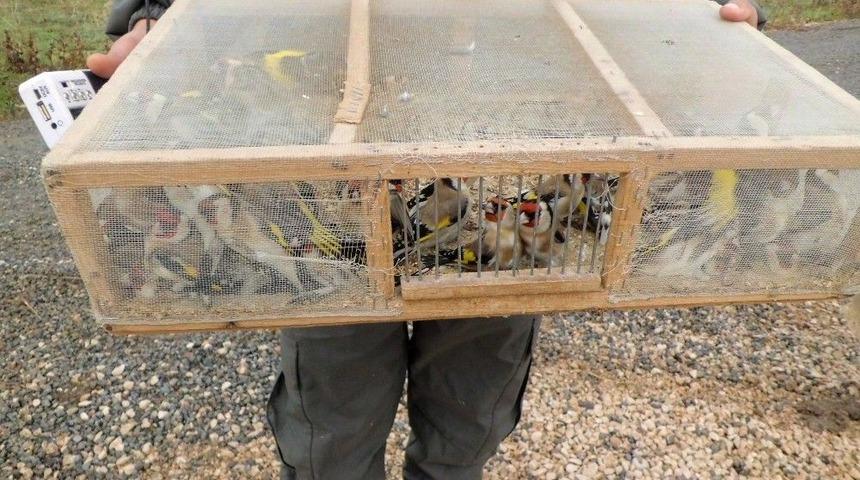 Ka&ccedil;ak Avcılara Jandarma Baskını