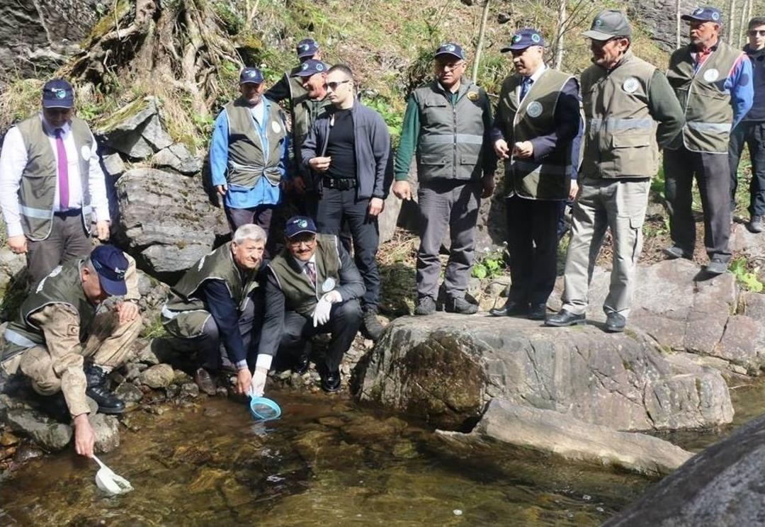 80 Bin Yavru Alabalık Dereye Salındı