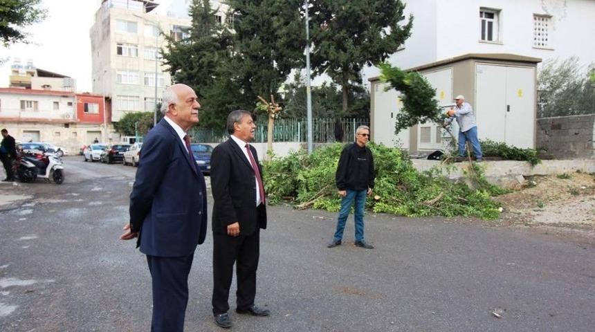 Başkan Seyfi Dingil: &ldquo;hedefimiz Daha Temiz Bir İskenderun&rdquo;