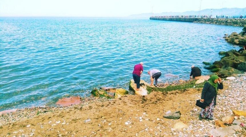 7 Dalgadan Atlayıp Dilek Tuttular