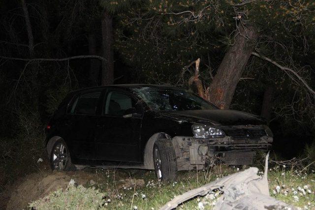 Uçuruma Yuvarlanan Otomobildeki 2 Kişiyi Ağaç Kurtardı