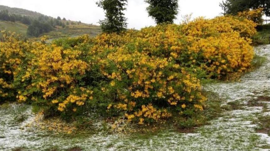 Ordu&rsquo;nun Yaylalarına Dolu Yağışı