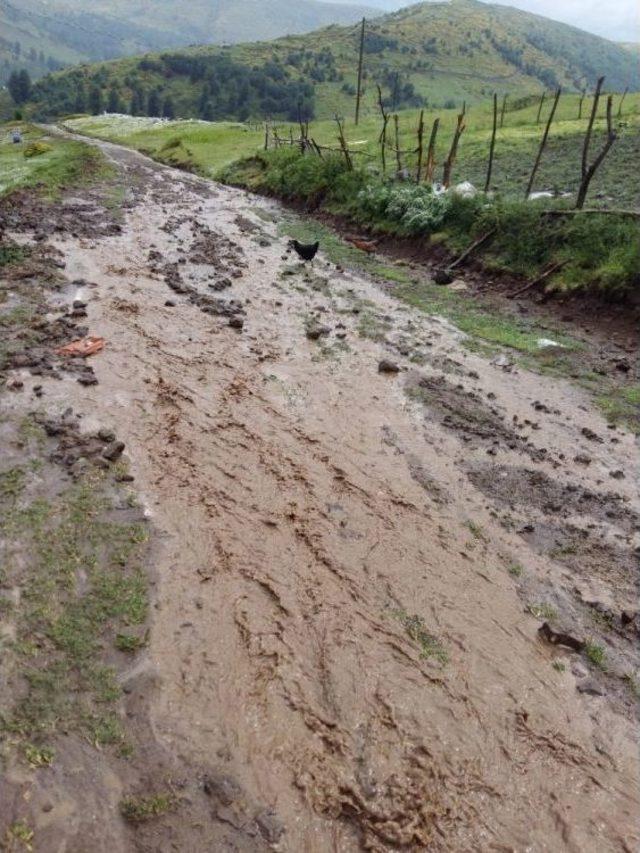 Ordu’nun Yaylalarına Dolu Yağışı