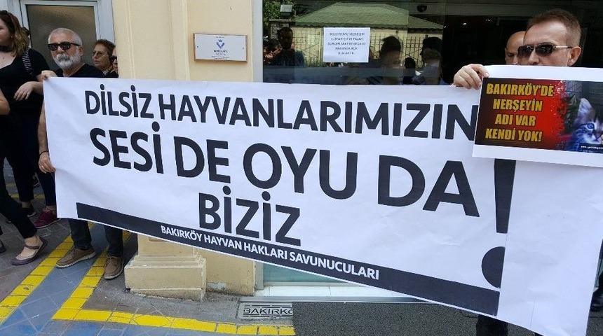 Hayvan Hakları Savunucularından Bakırk&ouml;y Belediyesi&rsquo;ne Tepki