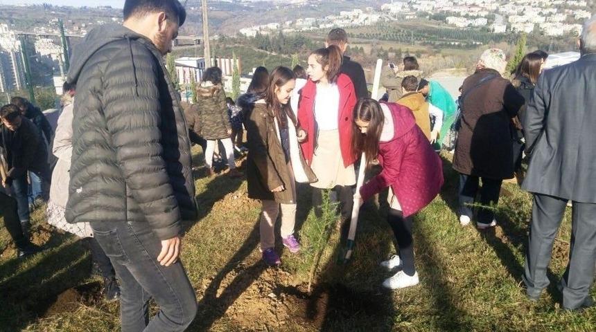 Cephaneliğe Fidan Dikildi