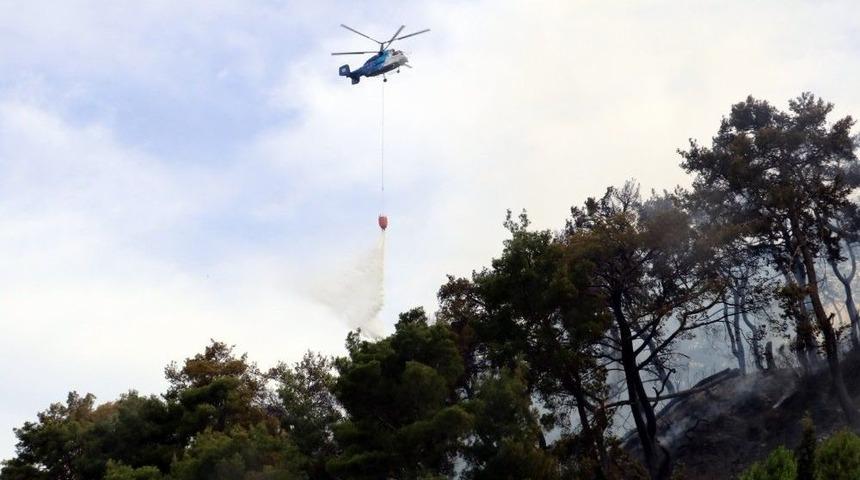 Antalya&rsquo;daki Orman Yangınında 2 Hektar K&uuml;l Oldu
