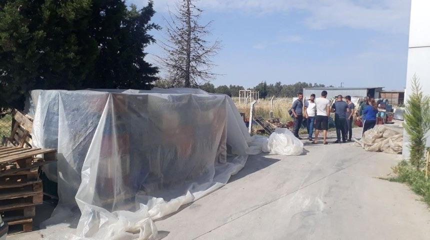 Zeytin Hırsızları Yakalandı, 5 Kişi Tutuklandı