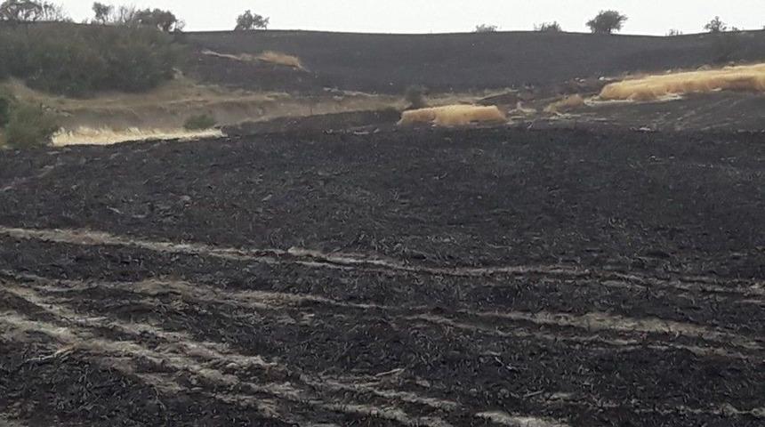 250 Dekar Ekili Alan K&uuml;l Oldu