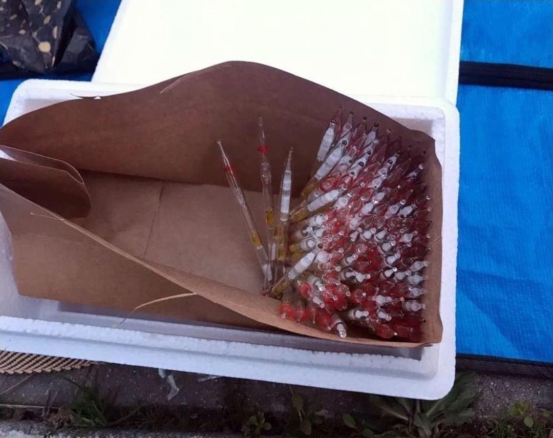 Fatih&rsquo;te 3 Milyon Dolarlık &rsquo;kobra Zehri&rsquo; Ele Ge&ccedil;irildi