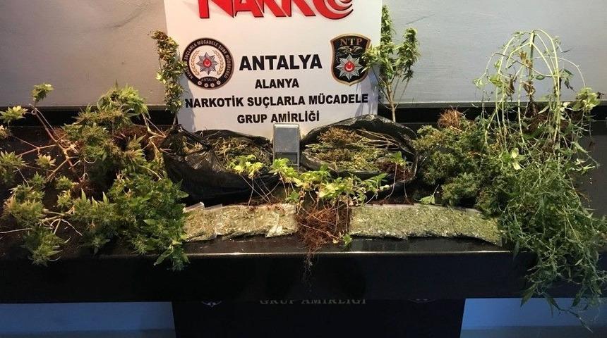 Alanya&rsquo;da Uyuşturucu Operasyonu