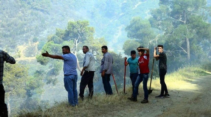 Anızdan Çıkan Yangında 200 Hektar Alan Kül Oldu