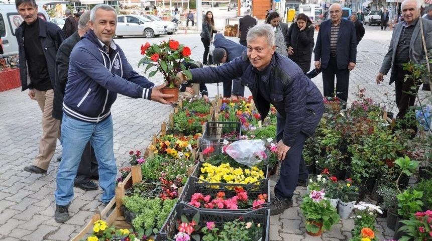 Halk Pazarı Çiçek Bahçesine Döndü