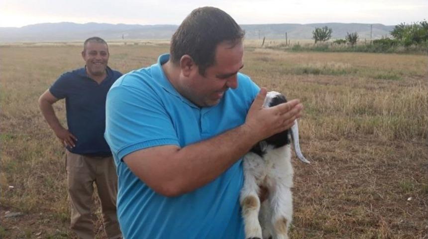 Nusaybin&rsquo;de Kuyuya D&uuml;şen Kuzuyu İtfaiye Kurtardı