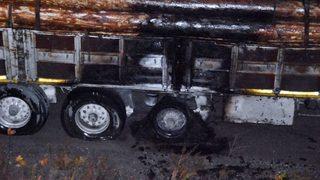 Tomruk Yüklü Tırın Lastikleri Alev Aldı