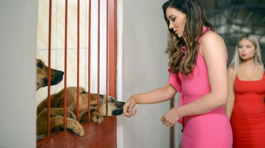 Finli Güzeller Hayvan Barınağını Gezdi