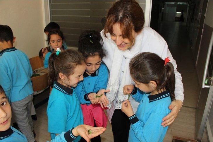 İlkokul Öğrencileri Okulda, İpek Böcekçiliği Yapıyor G4