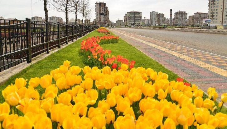 Büyükşehir Çalışıyor Diyarbakır’ın Çehresi Değişiyor G2