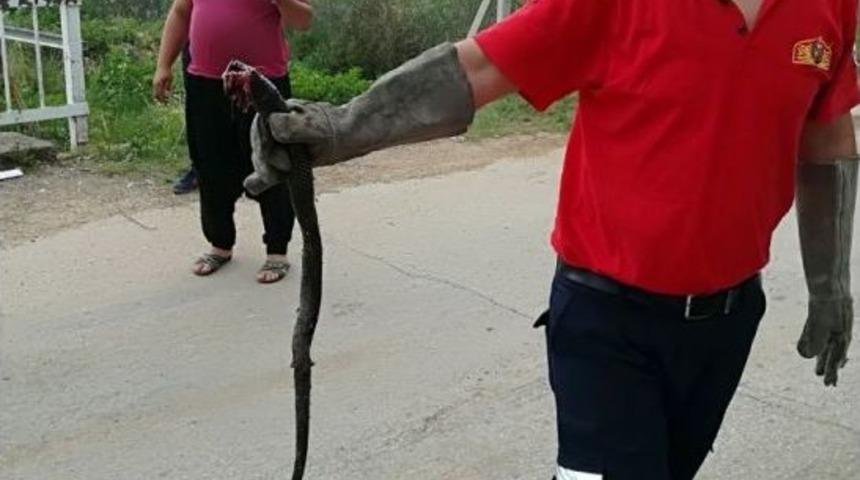 Aracın Motoruna Giren Yılanı İtfaiye Ekipleri &Ccedil;ıkardı