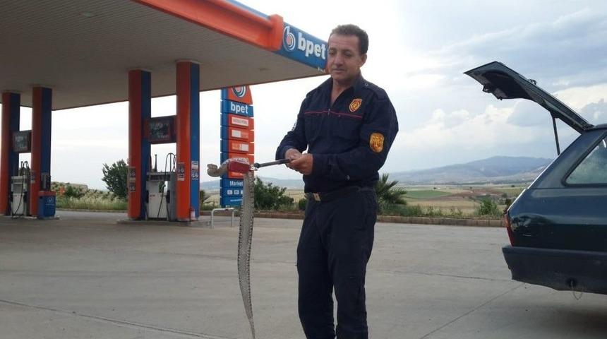 Otomobilin Motor Kısmına Giren Yılan &Ccedil;ıkartıldı