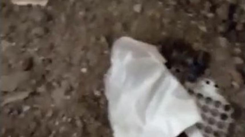 Topraktan Tombala Makinesi &Ccedil;ıktı