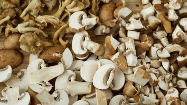 Adeta protein bombası! Alzheimer ve kanser riski için büyük önem taşıyor G1