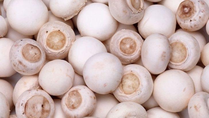 Adeta protein bombası! Alzheimer ve kanser riski için büyük önem taşıyor G2