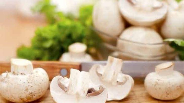 Adeta protein bombası! Alzheimer ve kanser riski için büyük önem taşıyor G3