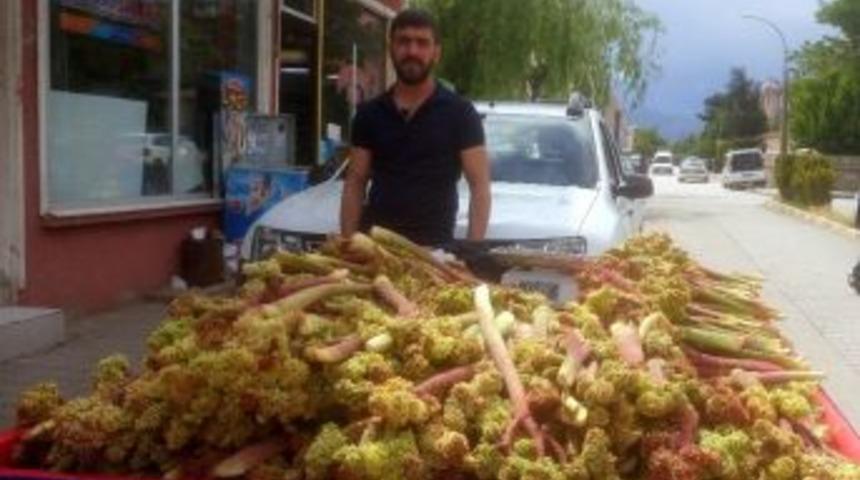 Işkın Erzincan&rsquo;da Tezgahlardaki Yerini Aldı