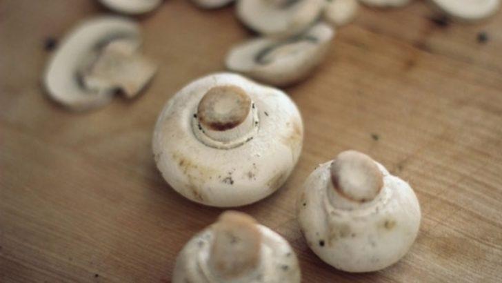 Adeta protein bombası! Alzheimer ve kanser riski için büyük önem taşıyor G4