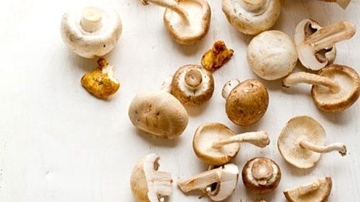 Adeta protein bombası! Alzheimer ve kanser riski için büyük önem taşıyor G5