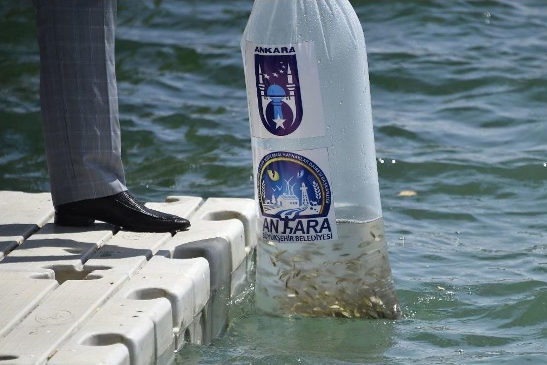Başkent&rsquo;te Balık&ccedil;ılık Artırılacak