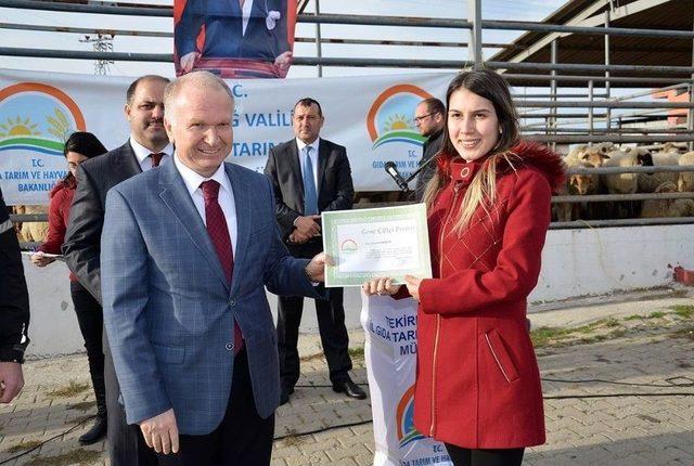 Kkyd Projesi Kapsamında 703 Küçükbaş Hayvan Teslim Töreni Gerçekleştirildi